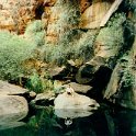 AUS NT KingsCanyon 1992 Fitzy 004  Even in the heat of summer, this rock pool is freezing as it gets little sunlight to heat up the water.  Too damn cold for this little black duck to take a dip. : 1992, Australia, Date, Kings Canyon, NT, Places, Year